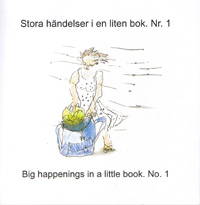 Stora händelser i en liten bok - Boken handlar om det som hände, det som kunde hänt och det som aldrig hände.